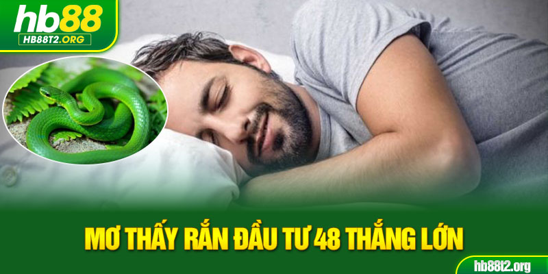 Mơ thấy rắn đầu tư 48 thắng lớn