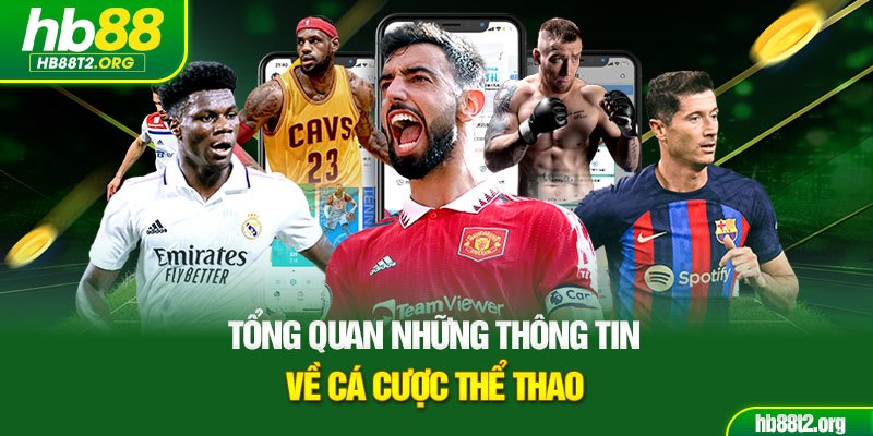 Tổng quan những thông tin về cá cược thể thao